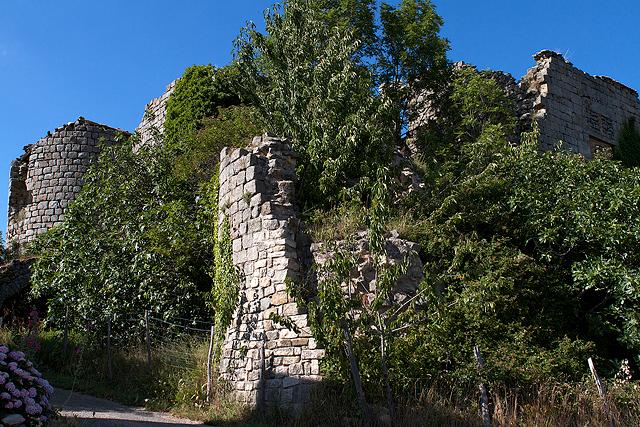 Ruines châteaux des seigneurs de Farges (Chazeaux Ardèche)